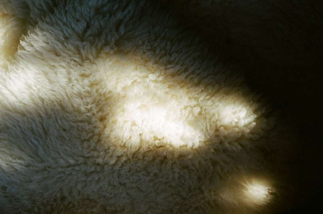 Canadian Sheepskin - curly white