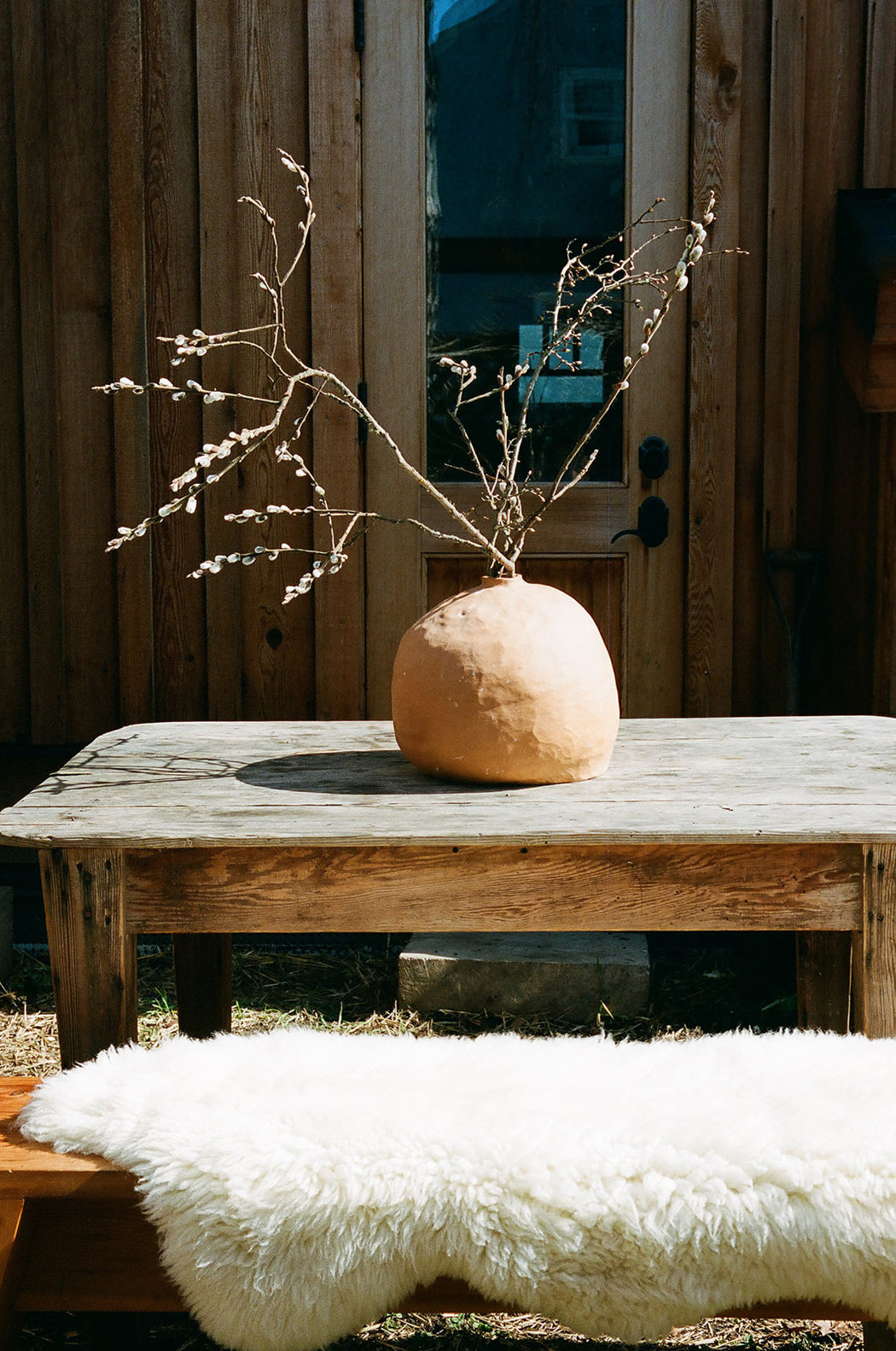 Canadian Sheepskin - curly white