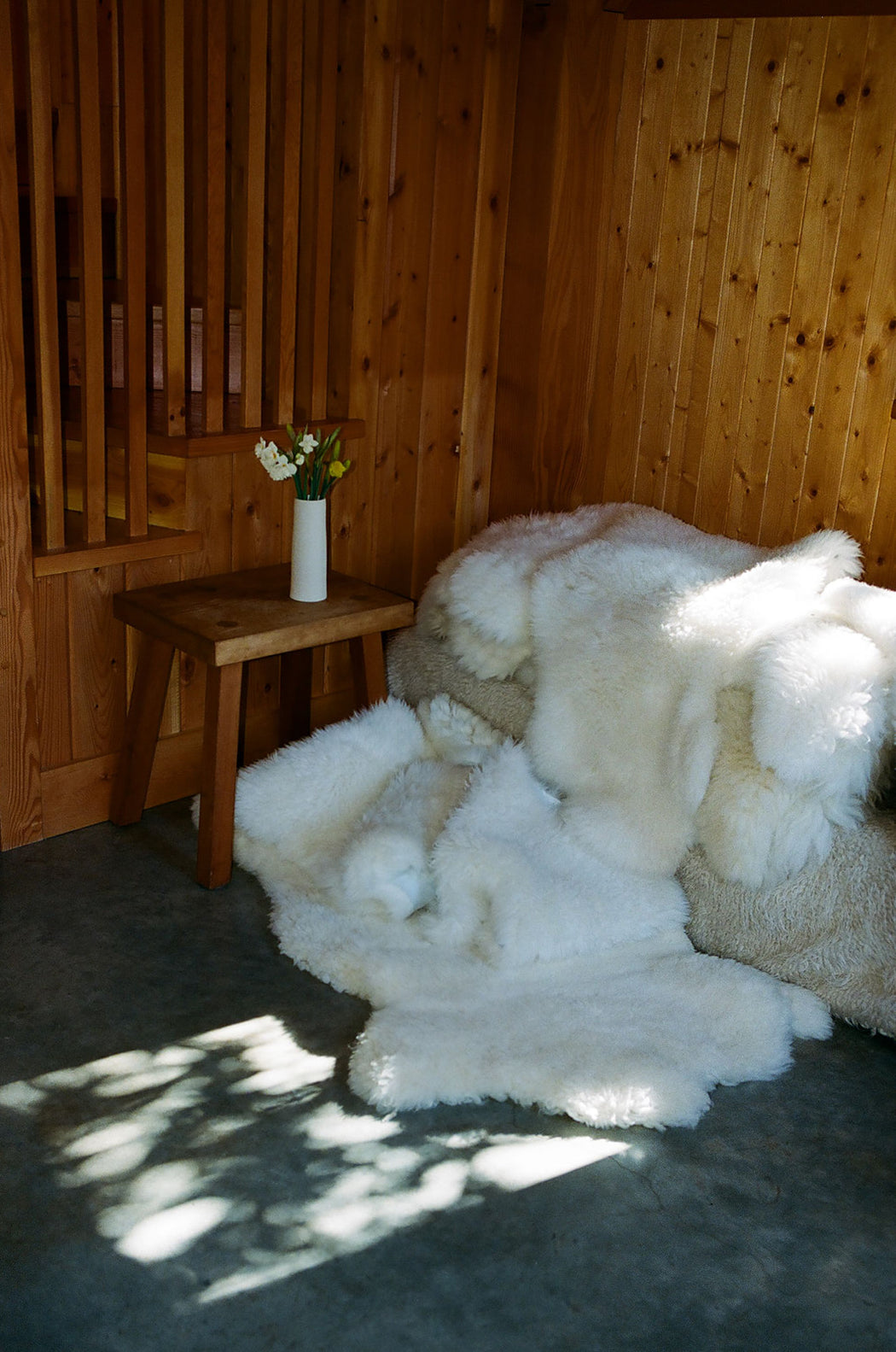 Canadian Sheepskin - curly white