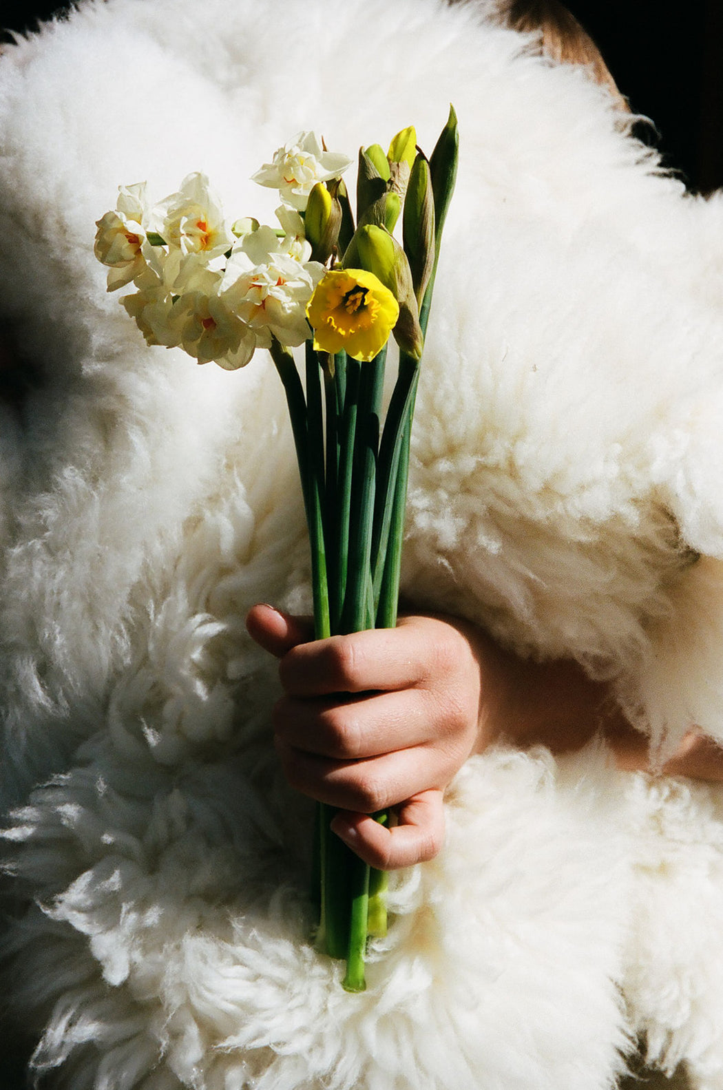 Canadian Sheepskin - curly white