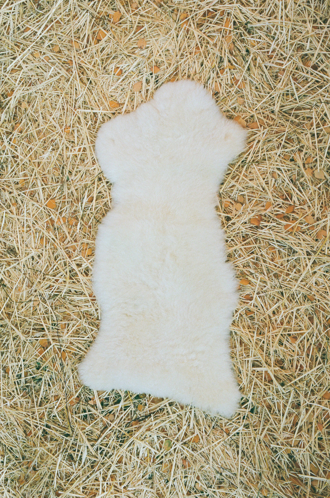 Small Canadian Sheepskin - shaggy white