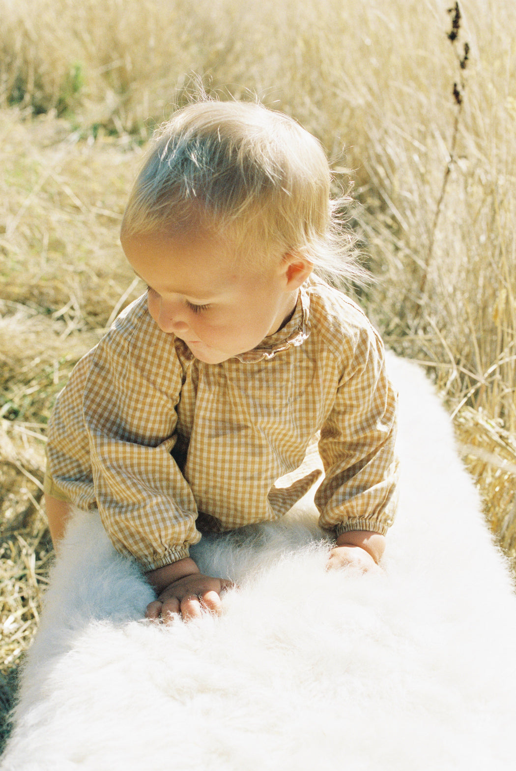 Small Canadian Sheepskin - shaggy white