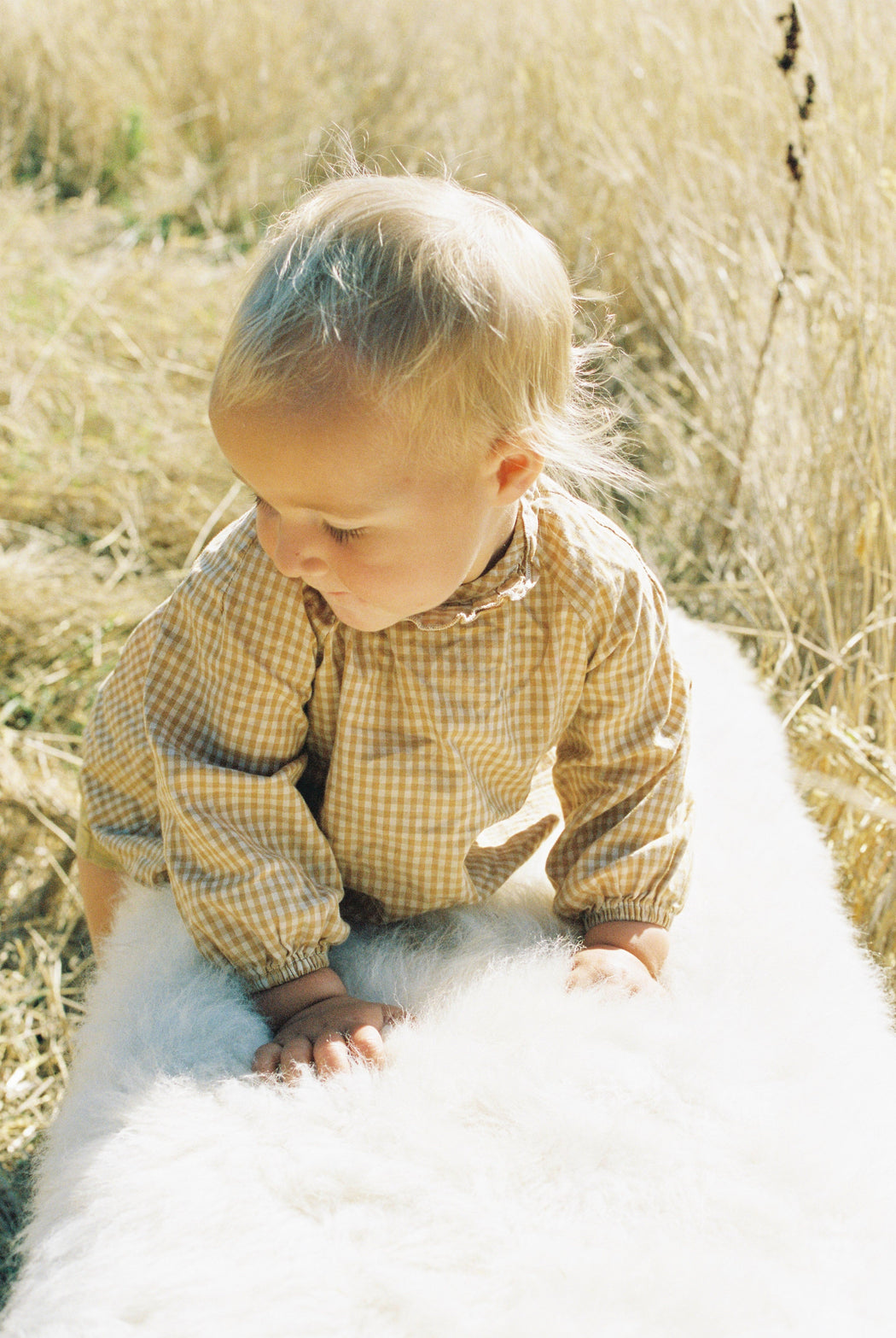 Large Canadian Sheepskin - shaggy white