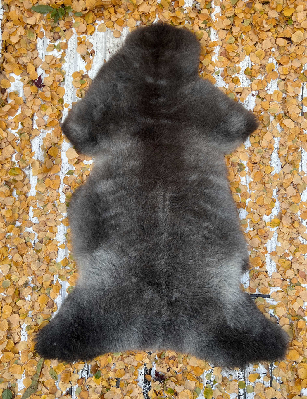 01 - Large Mottled Grey and Black