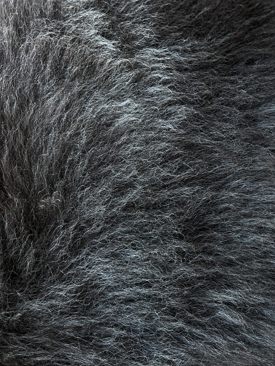 01 - Large Mottled Grey and Black
