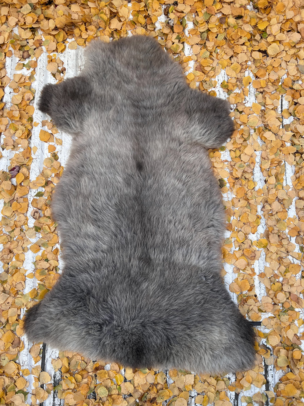 02 - Medium Mottled Grey