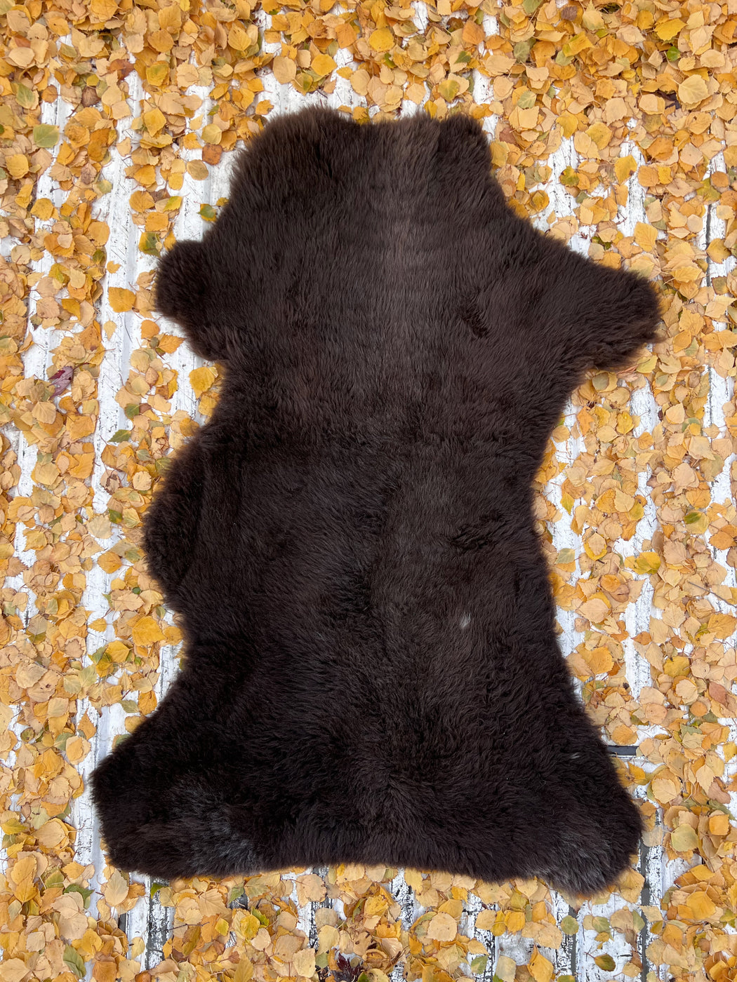 03 - Medium Dark Brown