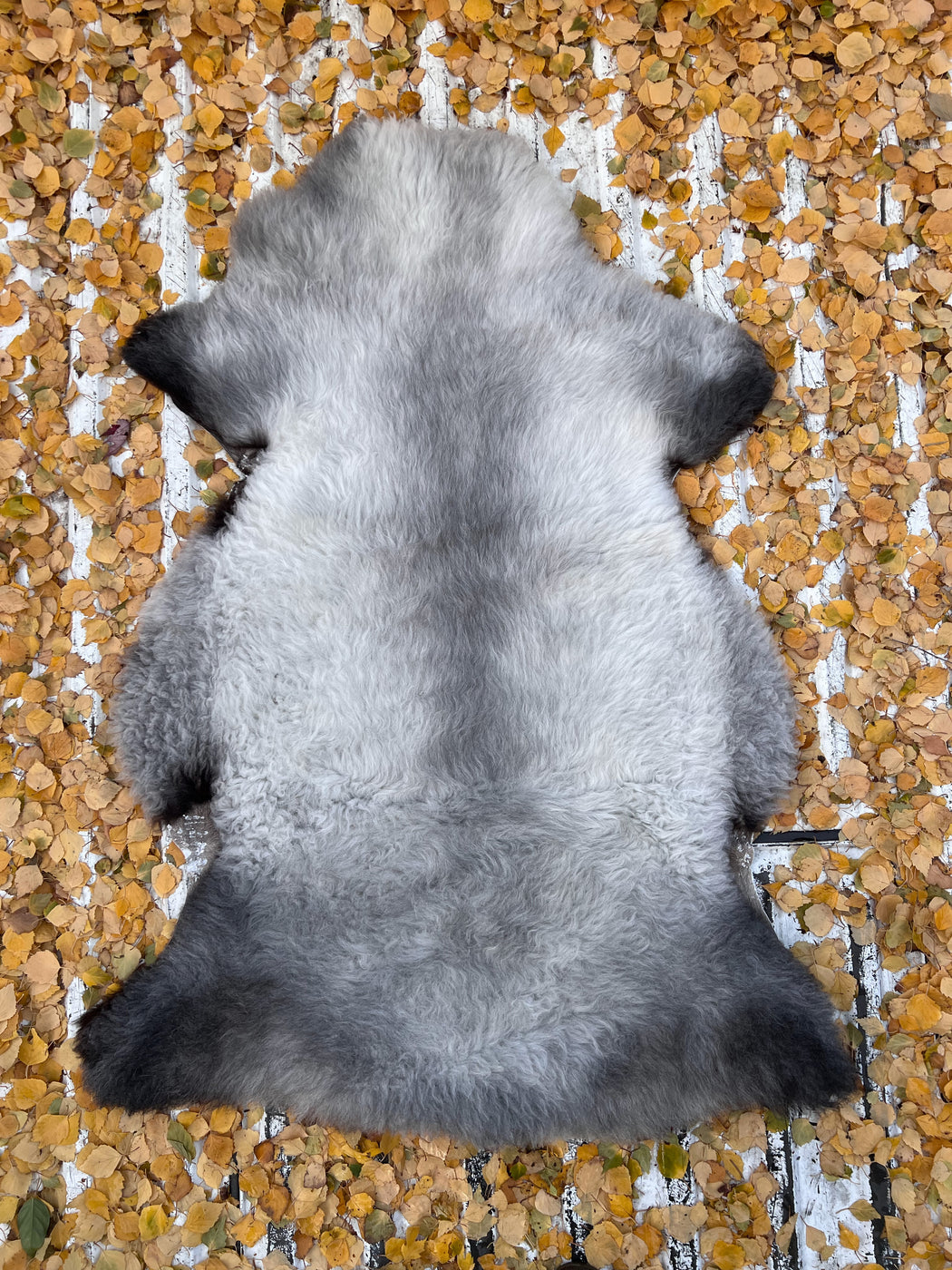 04 - Large Light Grey