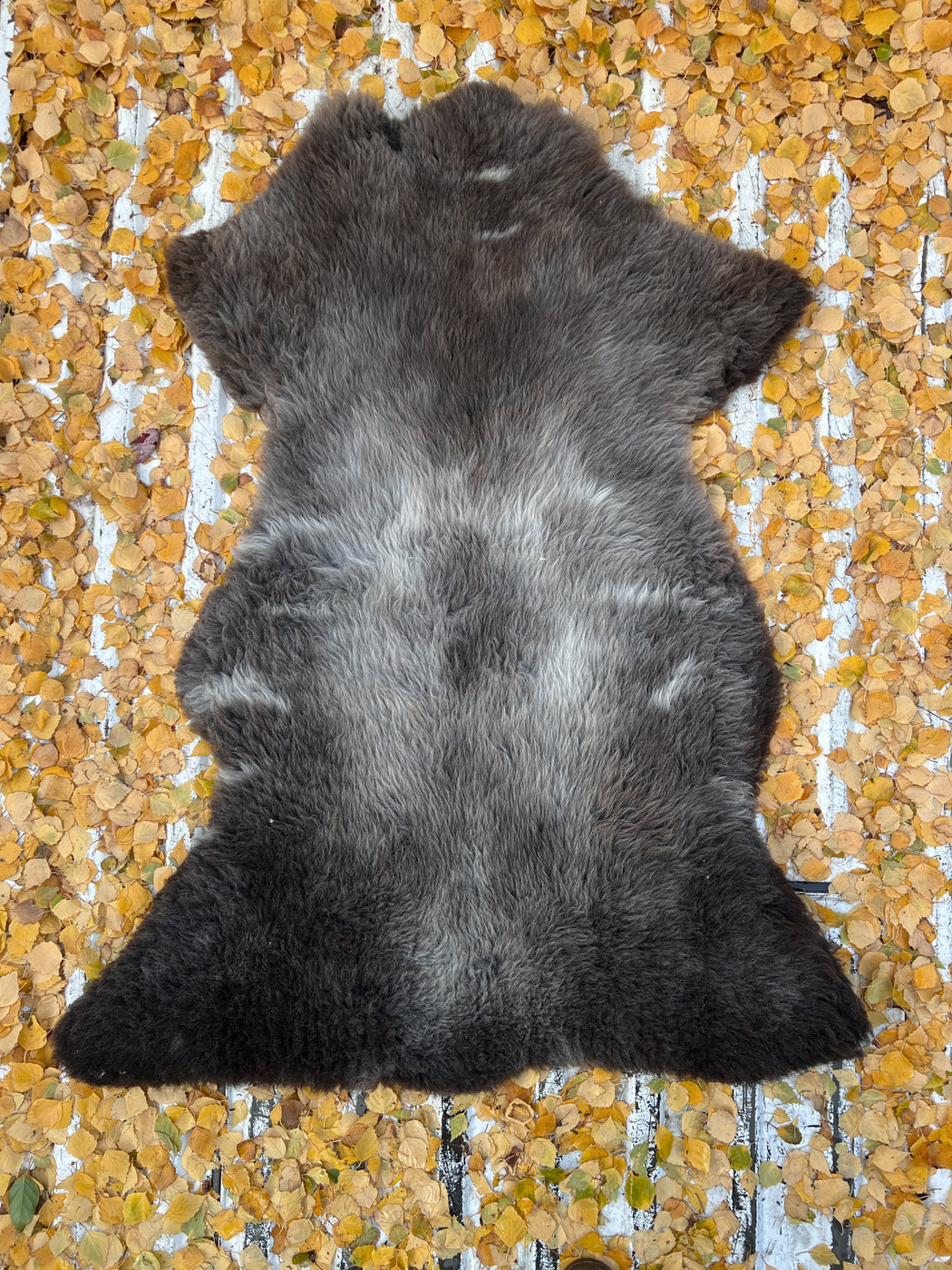 05 - Large Brown and Grey Mottled
