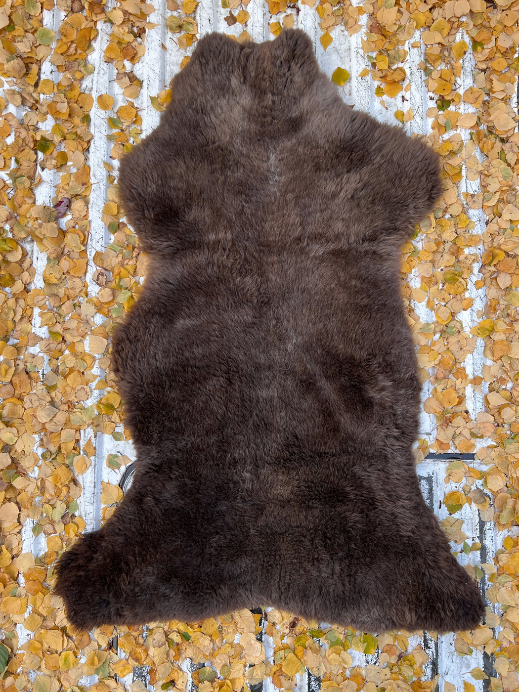 06 - Large Chocolate Brown