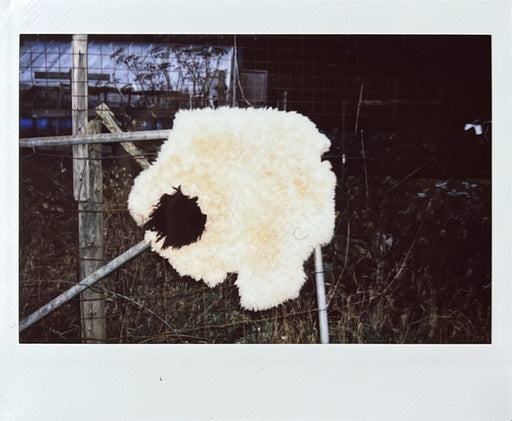 Square Dot Shaggy Sheepskin