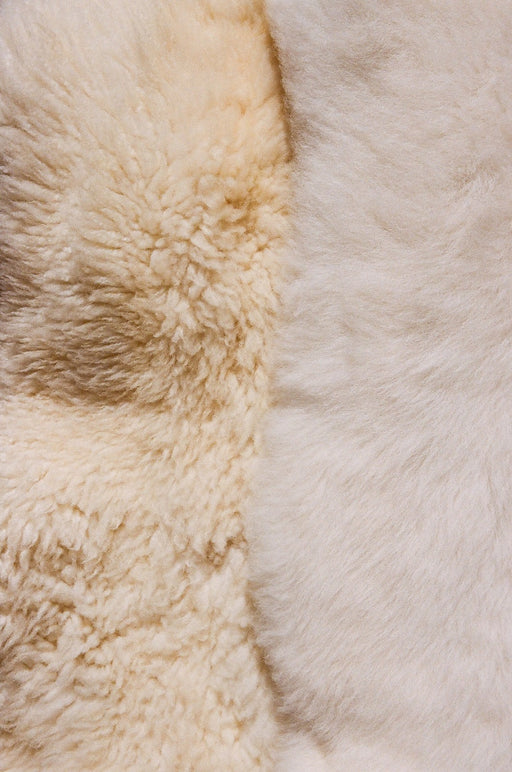 Canadian Sheepskin - curly white
