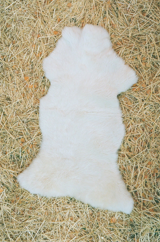 Small Canadian Sheepskin - shaggy white