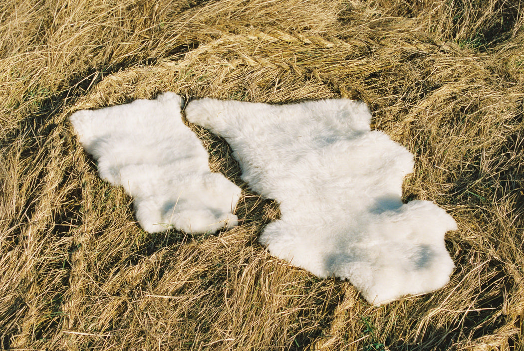 Large Canadian Sheepskin - shaggy white